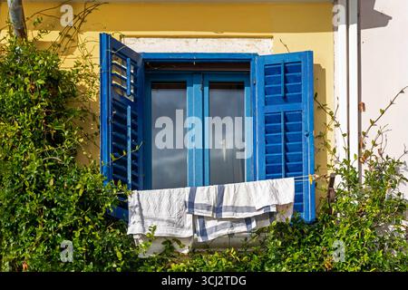 Blaue Fensterläden mit Wäschetrocknung draußen. Leuchtend blaue Fensterläden an einer gelben Wand mit Handtüchern, die zum Trocknen hängen, umgeben von grünen Klettern Stockfoto