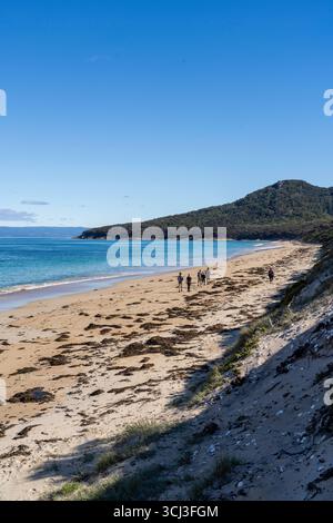 Foto von Hazards Beach, Freycinet National Park, Tasmanien, Australien an einem wunderschönen Sommermorgen. Stockfoto