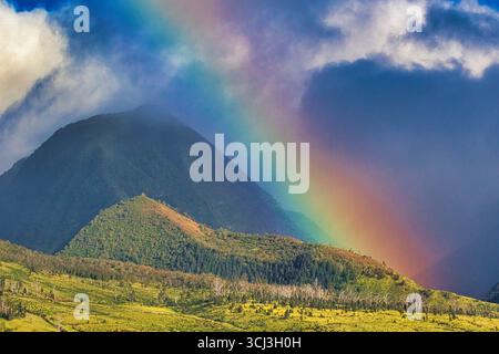 Tief liegender Regenbogen, der über den westlichen maui-Bergen hängt. Stockfoto