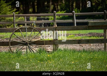 Altes Wagenrad, das sich an einen alten rustikalen Zaun auf der Pferdefarm lehnt. Stockfoto