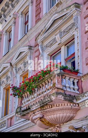 Blumentöpfe auf der Außentür Terrasse mit integrierter, altgestalteter Steinfassade, Sibiu, Transylavania, Rumänien, Europa Stockfoto