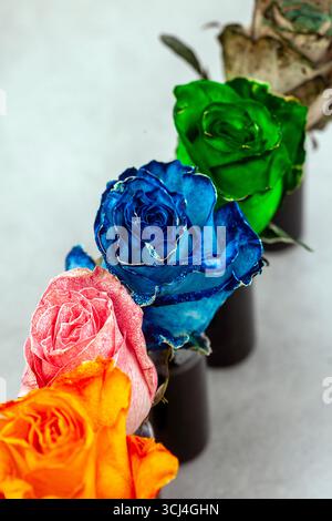 Rosen wurden in verschiedenen Farben gesetzt und absorbierten die Farbe in ihre Blätter. Rosen und Rosa, Blau, Orange, Grün und Schwarz Stockfoto