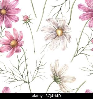 Rosafarbene und weiße Kosmos-Blüten mit grünen Blättern. Botanisches nahtloses Muster auf weißem Hintergrund, geeignet für Geschenkpapier, Textildruck Stockfoto