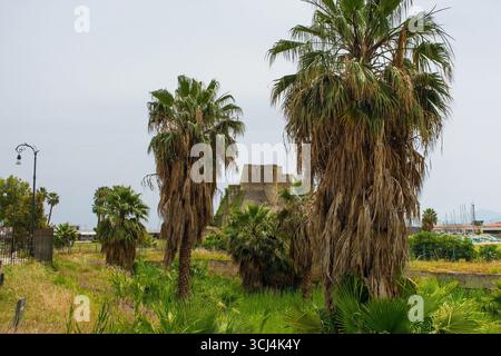 IL Mastio in den Ruinen von Castello a Mare in Palermo, Sizilien, Italien. Arabisch-normannischer Donjon oder Hauptturm, ältester und historisch bedeutender Teil der Ruinen Stockfoto
