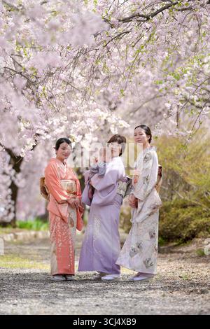 Drei Frauen in traditioneller japanischer Kleidung posieren für ein Foto vor Kirschblüten. Die Szene ist ruhig und friedlich, da die Frauen umzingelt sind Stockfoto
