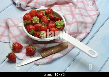 Erdbeeren in einem Sieb, Fragaria x ananassa Stockfoto