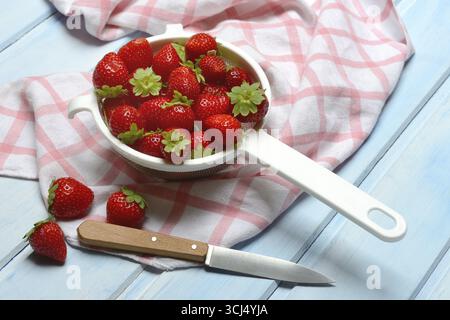 Erdbeeren in einem Sieb, Fragaria x ananassa Stockfoto