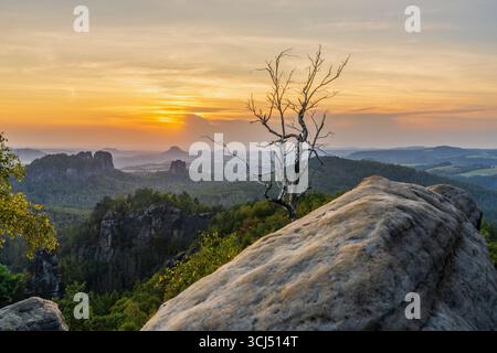 Dramatischer Sonnenuntergang im Nationalpark Sächsische Schweiz, Deutschland. Verdrehte Birke auf einer felsigen Klippe im Vordergrund. Atemberaubender Blick auf die Berge, malerisches Licht, na Stockfoto