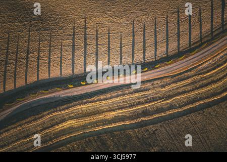 Wunderschöne, idyllische Aussicht aus der Vogelperspektive auf Zypressen, die in einer Reihe neben einer toskanischen Schotterstraße stehen und lange Schatten in der Toskana, Italien, werfen Stockfoto