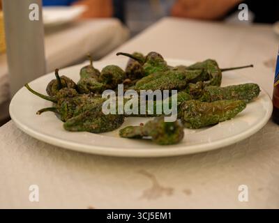 Teller mit gebratenen grünen Paprika, serviert als traditionelles spanisches Tapas-Gericht. Stockfoto