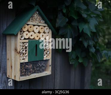 Insektenhotel Stockfoto