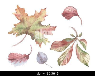 Im Herbst werden weiche Aquarelle isoliert gesetzt. Botanische Skizze aus Ahorn, Kastanienlaub, handgezeichnet in Pastellrosa Grün. Herbstpastellgemälde Stockfoto