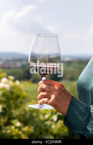 Eine elegante Dame hält ein Glas Rotwein in einem Weinberg. Stockfoto