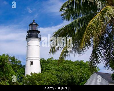 Historischer weißer Leuchtturm umgeben von tropischen Palmen und blauem Himmel in Key West, Florida. Stockfoto