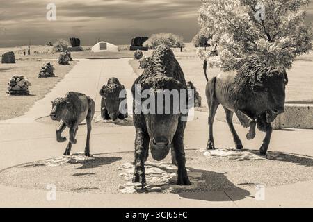 Buffalo-Statuen im Wanuskewin Heritage Park in Saskatoon, Kanada Stockfoto