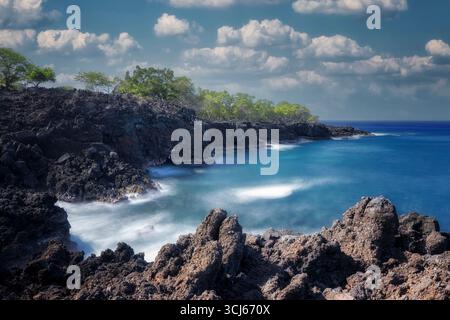 Klippenspringer an der End of the World Cliff. Hawaii Die Große Insel Stockfoto