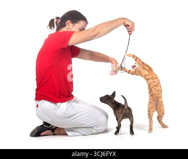 ingwerkatze und -Frau vor weißem Hintergrund Stockfoto