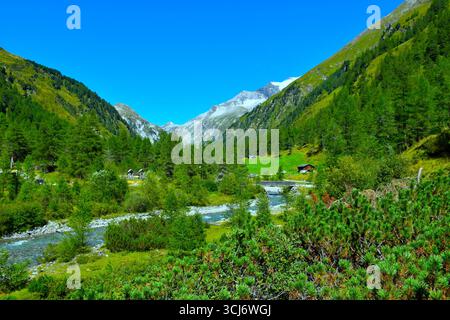 Alpenlandschaft mit grünen Almen, Lärchenwald und Mugoflüchtenbüschen und einem Fluss, der am Dorfertall in den Hohen Tauern, Tirol, Österreich vorbeifließt Stockfoto