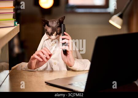 Die haarlose kanadische Sphynx-Katze in einem Hemd hält ein Telefon neben einem Laptop an das Ohr und symbolisiert Geschäftsanrufe, Ferngespräche oder Studien. Stockfoto