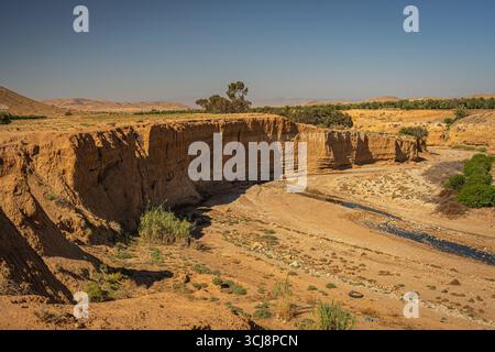 Erodierte Wüstenklippen im Norden Marokkos mit einem kleinen trockenen Flussbett, das sich durch trockene Landschaft unter klarem blauen Himmel und verstreuten grünen Bäumen schlängelt Stockfoto