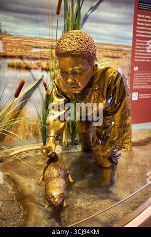 Eine Ausstellung im Harriet Tubman Underground Railroad State Park and Visitor Center zeigt eine junge Harriet Tubman, die Muskraten gefangen hat. Stockfoto