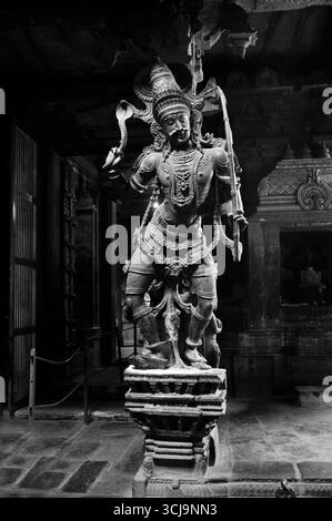Schwarz-weiß-Foto der antiken Steinskulptur von Schutzgottheiten im Kanthimathi Nellaiyappar Tempel im Bundesstaat Tirunelveli Tamil Nadu Indien Stockfoto