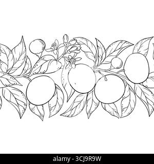 Mandarin Outline Horizontales Nahtloses Muster. Stock Vektor