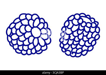 Himbeere im Doodle-Stil auf weißem Hintergrund. Illustration der Sommerbeere Stock Vektor