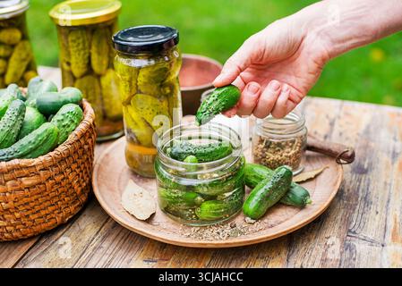 Frau händet eingelegte Gurken in Glasgefäß aus dem Garten zu Hause. Eingelegte Gurken im Glasgefäß. Hausgemachte Gurkengurken Stockfoto