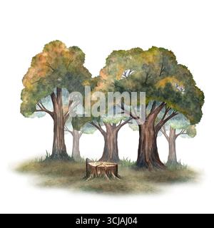 Aquarell-Eichenwaldlichtung mit Baumstumpf, perfekt für Hintergründe, Bilderbuchszenen, Hintergrundbilder und Naturprojekte. Stockfoto