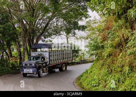 Historischer Truck auf der Straße in den anden Stockfoto