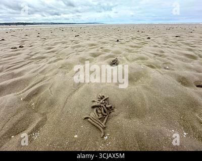 Llanddona Beach in Beaumaris Stockfoto