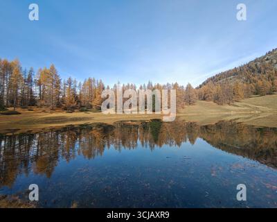 Eine perfekt spiegelnde Reflexion von Kiefern auf der stillen Oberfläche eines Sees im Aostatal, Italien. Das Bild fängt die ruhige und ruhige Atmosphäre ein Stockfoto