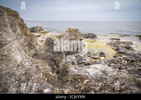 Rauks am Strand des Naturparks Langhammar auf der Insel Fårö, Gotland, Schweden Stockfoto