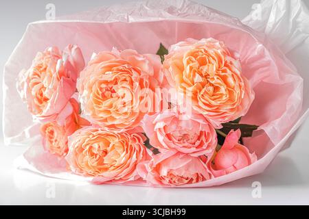 Ein zarter Strauß aus pfirsichfarbenen und rosa Rosen, umhüllt in weiches Taschentuch Stockfoto
