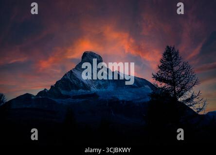 Ein atemberaubender Schweizer Berg Matterhorn steht hoch vor der Kulisse fesselnder Sonnenuntergänge. Silhouettenbäume umrahmen die Szene und heben den hervor Stockfoto