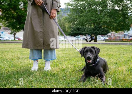 Eine Frau steht in einem grünen Park mit ihrem schwarzen Hund an der Leine. Sie trägt Jeans und Turnschuhe und genießt einen ruhigen Moment im Freien mit ihrem treuen Hundefreund Stockfoto