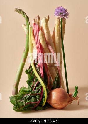 Ein farbenfrohes Arrangement aus frischem Gemüse, mit grünem und weißem Spargel, Mangold, einer Zwiebeln und einer lebendigen Schnittlauchblüte, die auf einem neutralen Ba steht Stockfoto