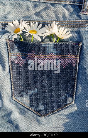 Eine Nahaufnahme einer blauen Jeanstasche mit drei weißen Gänseblümchen. Dieses Bild weckt ein Gefühl von lässigem Lebensstil und natürlicher Schönheit und verbindet f Stockfoto