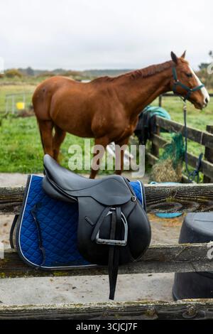 Ein Pferd steht in einer üppigen neuseeländischen Koppel. Ein schwarzer Sattel mit blauem Tuch liegt auf einem rustikalen Holzzaun und spiegelt die ländliche Umgebung wider Stockfoto