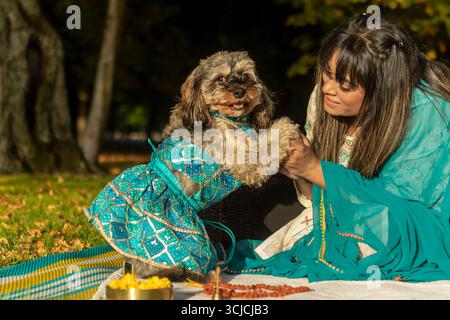 Eine bezaubernde Szene eines Hundes in elegantem Outfit, zusammen mit einer Indianerin in einem traditionellen Sari, bei einem sonnigen Tag in der Natur, umgeben von Stockfoto