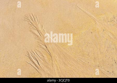 Nahaufnahme des Sandes an einem Strand mit komplexen natürlichen Mustern, die durch den sanften Wasserfluss entstehen. Die zarten Texturen schaffen ein abstraktes l Stockfoto
