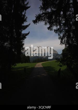 Blick auf den Wilden Kaiser durch die Wälder, Österreich, August 2025 Stockfoto