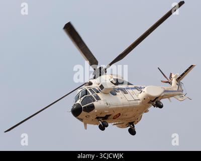 Aerospatiale Super Puma der spanischen Luftwaffe - Ejercito del Aire - verwendet von der spanischen VIP's (der spanische König und der spanische Premierminister) Stockfoto
