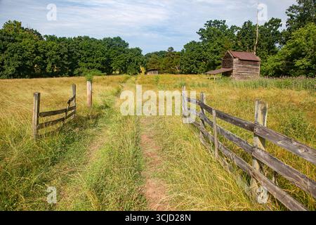 Grasbewachsener Pfad mit Zäunen führt zu einer alten Hütte auf dem Land Stockfoto