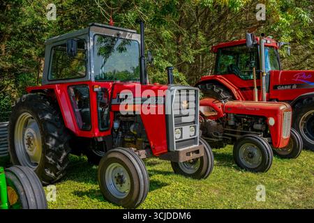 September 2025: Massey Ferguson-Traktoren werden im Ashcott in Somerset, England, gezeigt. Stockfoto
