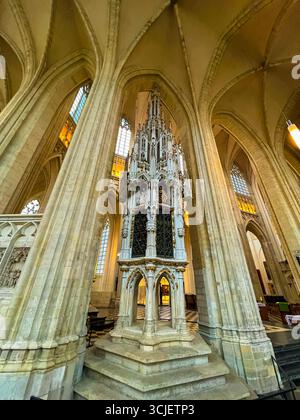 Das Innere des Leuvener Doms mit gotischer Architektur und eleganten Säulen Stockfoto
