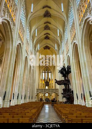 Das Innere des Leuvener Doms mit gewölbten Decken und Glasfenstern Stockfoto
