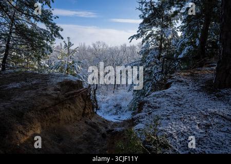 Winterliche Schneebilder von Nadelwäldern am Rand der Sandklippe an sonnigen Tagen Stockfoto