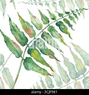 Nahtloses Aquarellmuster mit handgezeichnetem grünen Farn. Illustration einer Waldpflanze isoliert auf weißem Hintergrund. Für Waldthemen, Verpackung Stockfoto